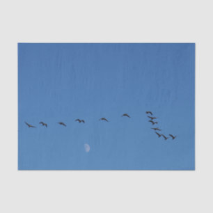 Papel De Seda Géanos canadienses en vuelo