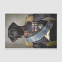 General Murphy, Labrador negro con uniforme milita