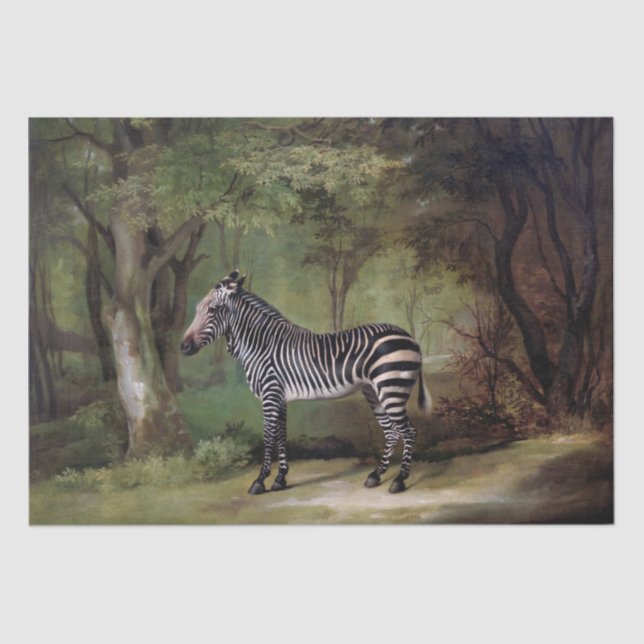 Papel De Seda George Stubbs | Cebra (1763) (Anverso)