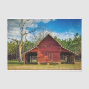 Papel De Seda Georgia: Prohibido parado orgullosamente frente al