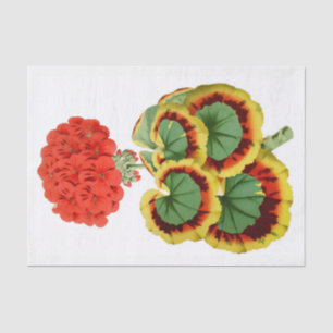 Papel De Seda Geranio rojo 10" botánico X 15" papel seda