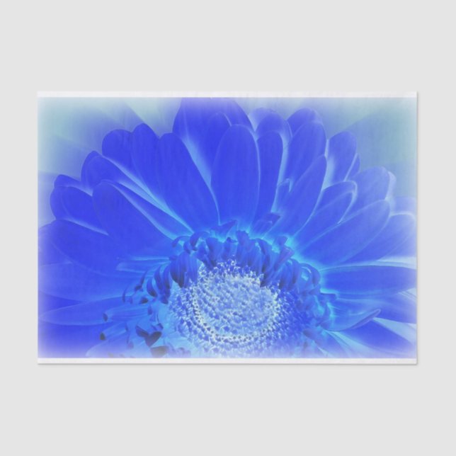 Papel De Seda gerbera azul eléctrico (Anverso)