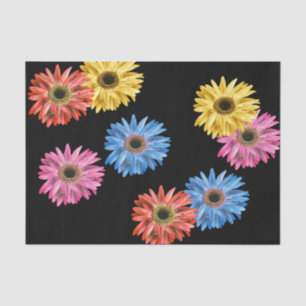 Papel De Seda Gerbera Daisy Colorful Simple Bonito Gerber