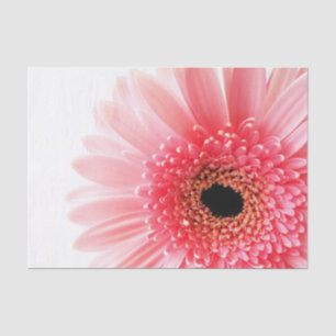 Papel De Seda Gerbera Daisy Poster