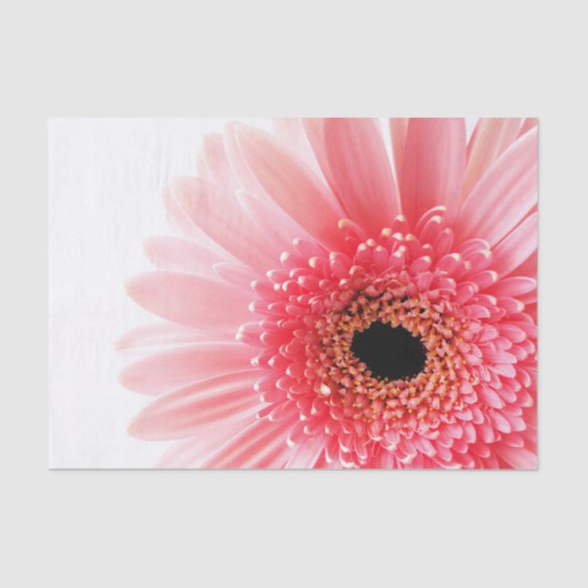 Papel De Seda Gerbera Daisy Poster (Anverso)