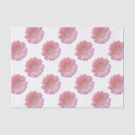 Papel De Seda Gerbera daisy rosa pálido