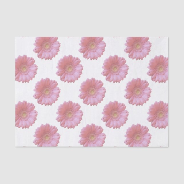 Papel De Seda Gerbera daisy rosa pálido (Anverso)