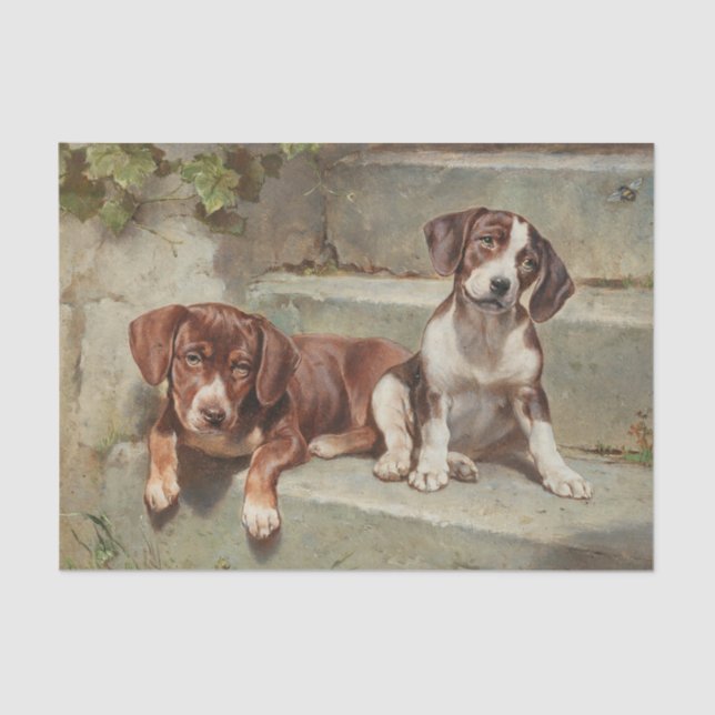 Papel De Seda Gestorte Siesta por Carl Reichert (Anverso)