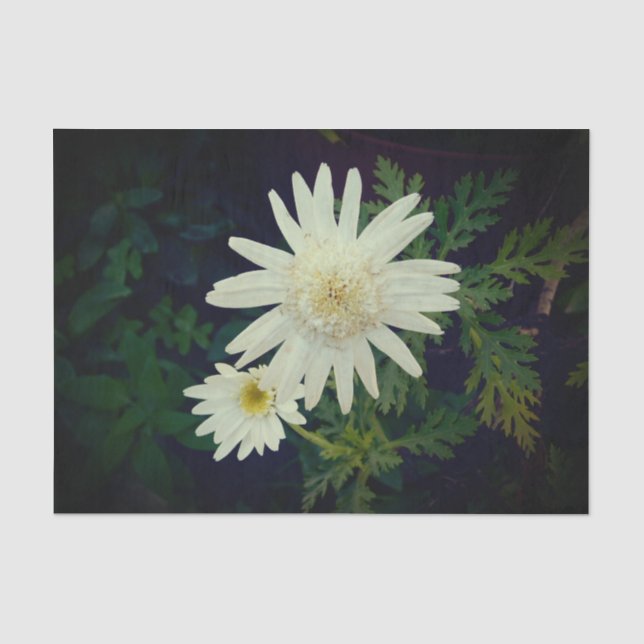 PAPEL DE SEDA GIFT WRAP PAPER ART AND DISIGE (Anverso)