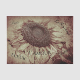 Papel De Seda Gigante girasol Sepia Ephemera marrón