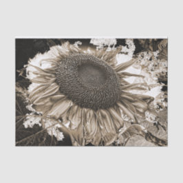 Papel De Seda Gigante Sunflowers Rustic Sepia Tone Vintage