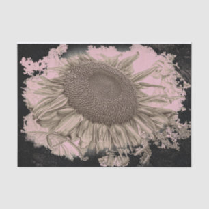 Papel De Seda Gigante Sunflowers Vintage Sepia Viñette negra ros