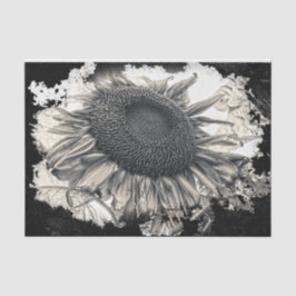 Papel De Seda Gigantes girasoles Sepia Blanco Negro Vintage