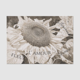 Papel De Seda Gigantes girasoles Sepia Marrón Textura guión de a