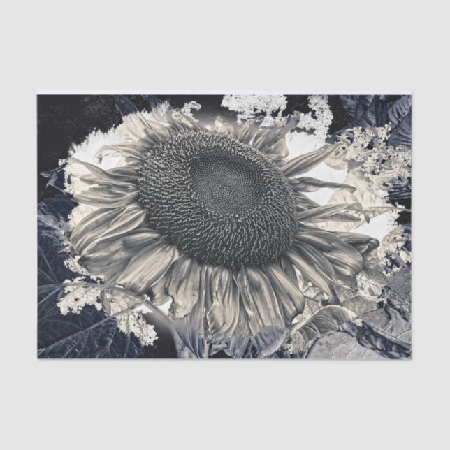 Papel De Seda Gigantes girasoles Sepia Rústico blanco negro (Anverso)