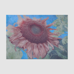 Papel De Seda Gigantes Sunflowers Country Pink Blue Decour Art