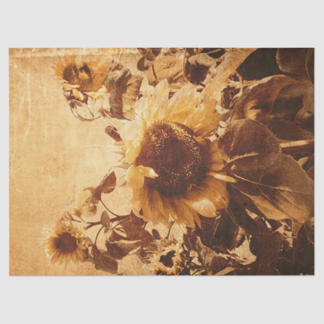 Papel De Seda Gigantesco Sunflower Sepia Decoupage Art (Anverso)