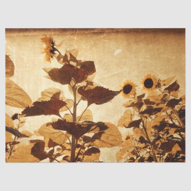 Papel De Seda Gigantesco Sunflower Sepia Decoupage Art (Anverso)