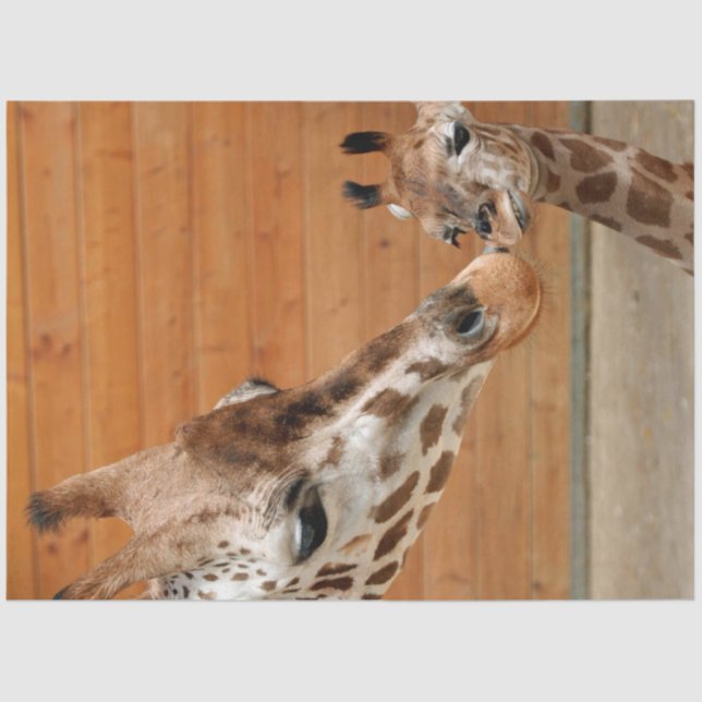 Papel De Seda Giraffe_20151101_by_JAMFoto (Anverso)