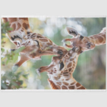 Giraffe Daddy Mama Baby Decoupage