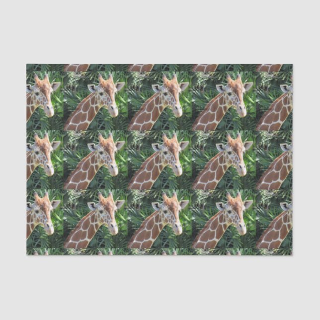 Papel De Seda Giraffe Tissue Paper (Anverso)