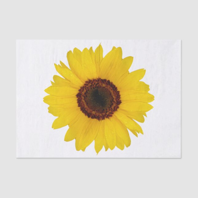 Papel De Seda Girasol (Anverso)