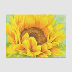 Papel De Seda Girasol