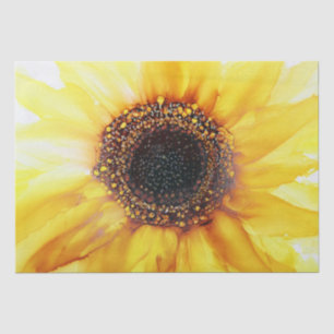 Papel De Seda Girasol amarillo