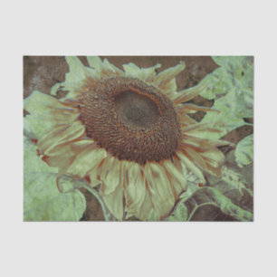 Papel De Seda Girasol Amarillo Gigante Arte en Textura Marrón De