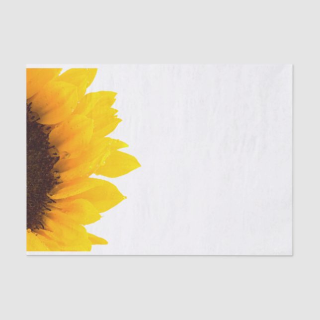 Papel De Seda Girasol amarillo y marrón en blanco (Anverso)