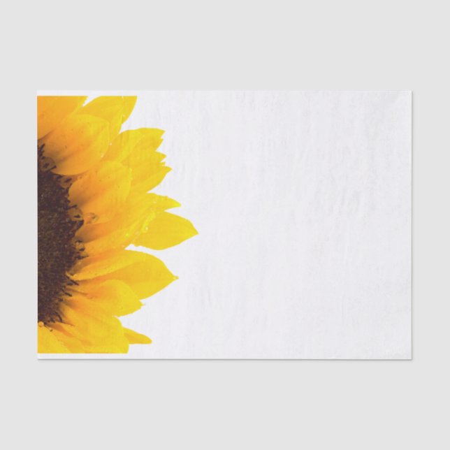 Papel De Seda Girasol amarillo y marrón sobre blanco (Anverso)