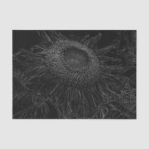 Girasol Arte Floral Blanco Y Negro Decoupage