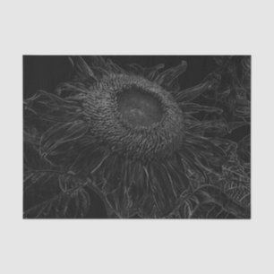 Papel De Seda Girasol Arte Floral Blanco Y Negro Decoupage