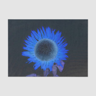 Papel De Seda Girasol Azul Púrpura Negro Sencillo Rústico Pop Ar