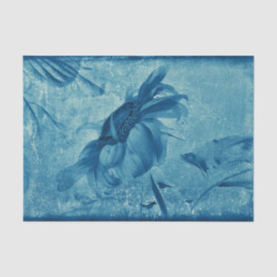 Papel De Seda Girasol Cianotipo Azul Vintage Antiguo Grunge
