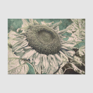 Papel De Seda Girasol Gigante Verde Beige Decoupage Antiguo