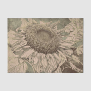 Papel De Seda Girasol tono sepia marrón textura arte decoupage