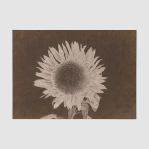 Papel De Seda Girasol Único Sepia Marrón Vintage Rústico