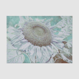 Papel De Seda Girasol Vintage Luz Teal Pastel Decoupage