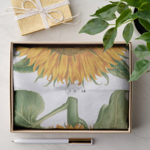 Papel De Seda Girasol vintage por Basilius Besler