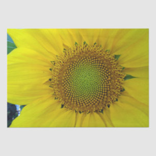 Papel De Seda Girasol y semillas, espiral, relación dorada