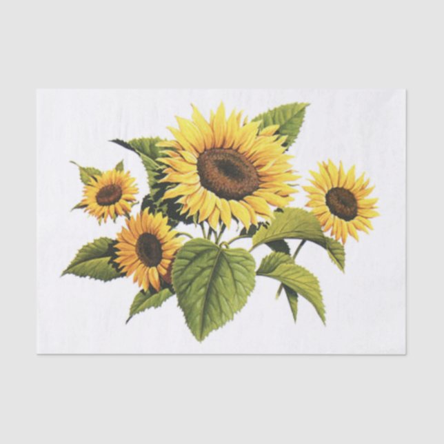 Papel De Seda Girasoles (Anverso)