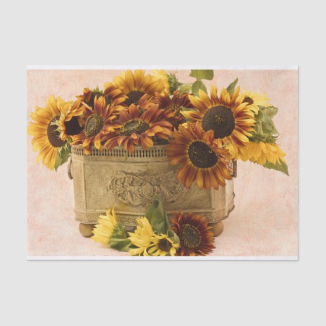 Papel De Seda Girasoles anaranjados en cesta de la lata (Anverso)