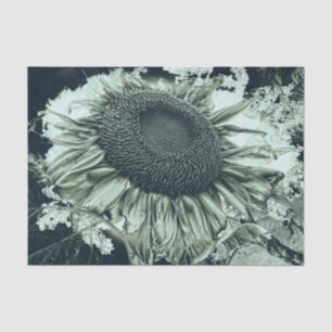 Papel De Seda Girasoles Gigantes Rústico Verde Vintage
