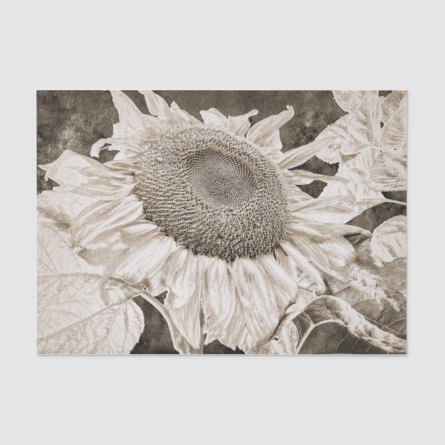 Papel De Seda Girasoles gigantes Sepia Marrón Textura Art Decoup (Anverso)