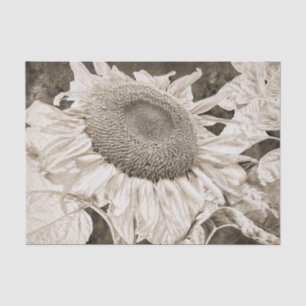 Papel De Seda Girasoles gigantes Sepia Marrón Textura Art Decoup