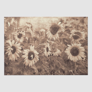 Papel De Seda Girasoles gigantes Sepia Textura Floral Decoupage