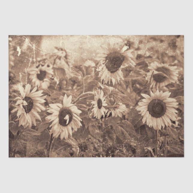 Papel De Seda Girasoles gigantes Sepia Textura Floral Decoupage (Anverso)