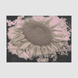 Papel De Seda Girasoles Gigantes Vigneta Negra Rosa Sepia Vintag