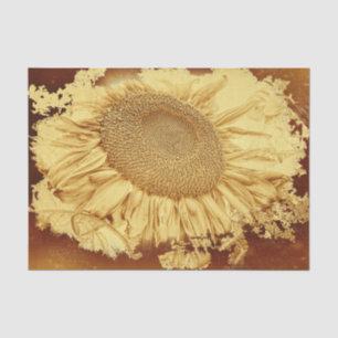 Papel De Seda Girasoles Gigantes Vintage Amarillo Marrón Vignett